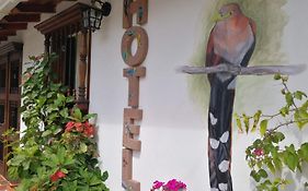 House Birding Hotel